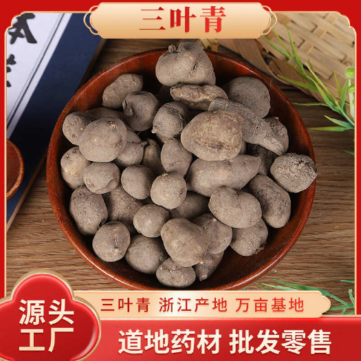 亳州批发三叶青 产地货源三叶青 干货规格多 量大价优