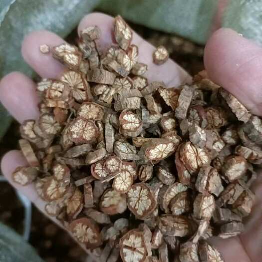 商城县红藤片通货选货新货自然晒干无硫批发零售