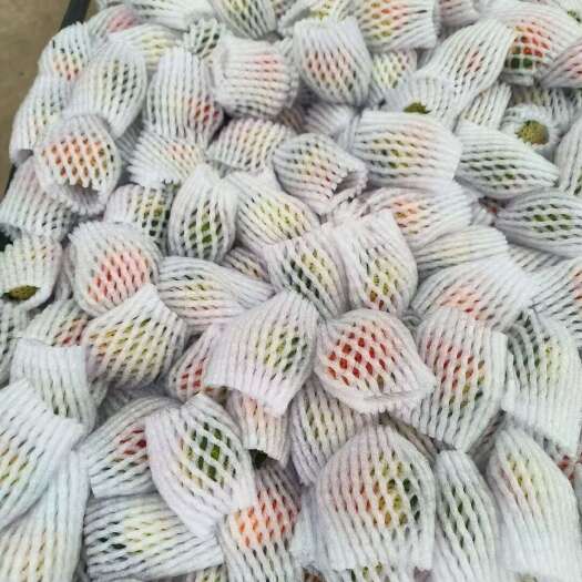 会泽县散装10斤/5斤装夏季商用草莓糖葫芦 烘焙 奶茶榨汁原料批发