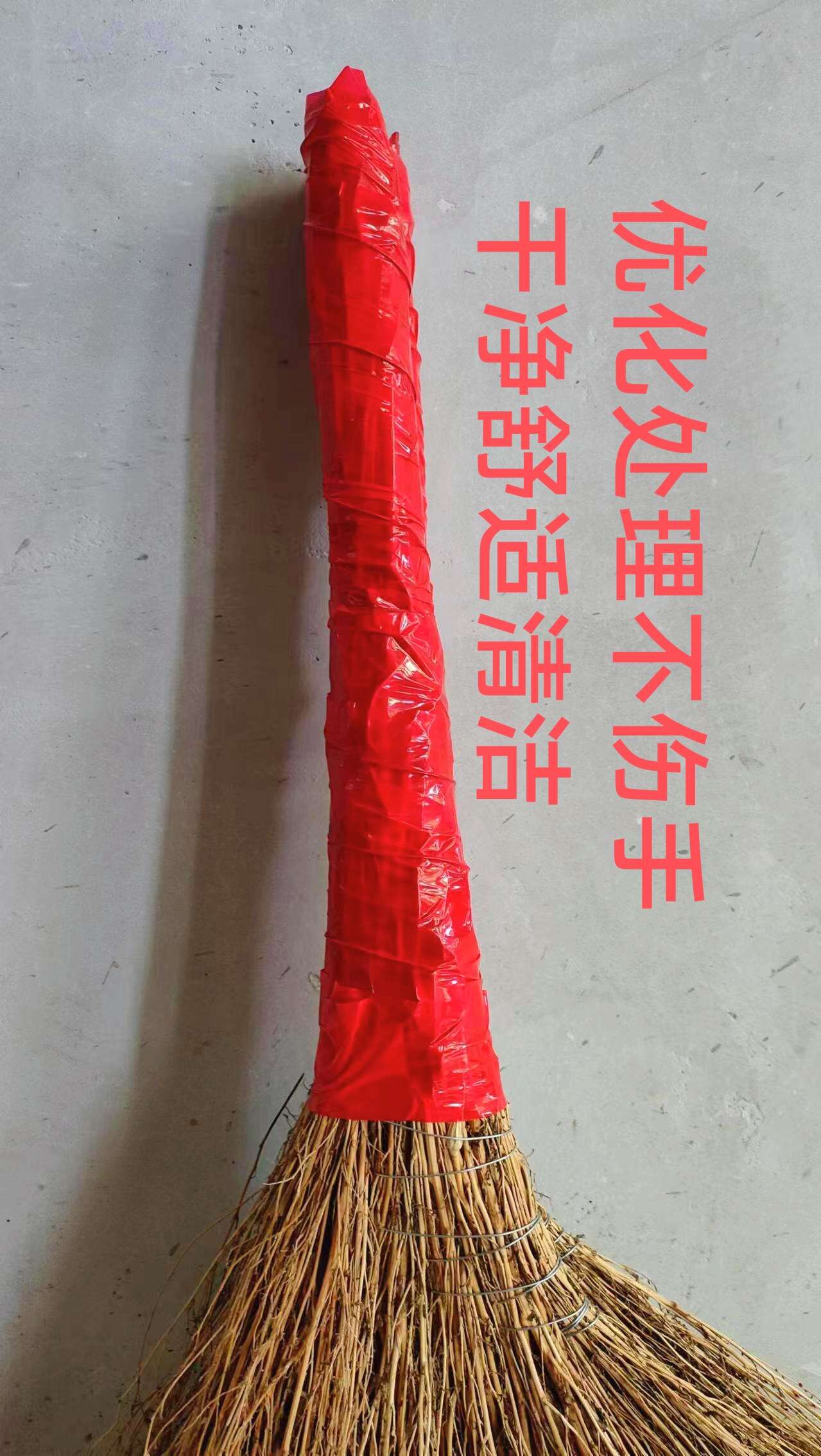 铁扫帚  地肤子  金丝草扫帚 折不断 白色草