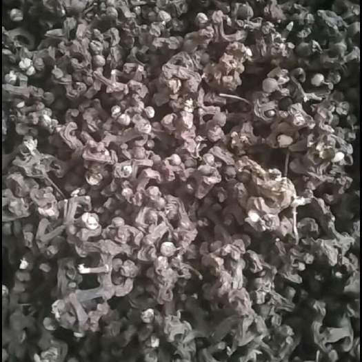 拐枣