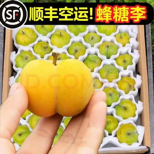 关岭县镇宁自治县南部是典型的亚热带低热河谷气候区，具有雨热同季的气