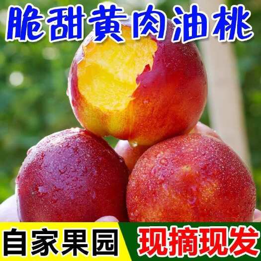 【现摘现发】新鲜黄心大油桃应季水果当季黄肉油桃子脆甜水蜜桃