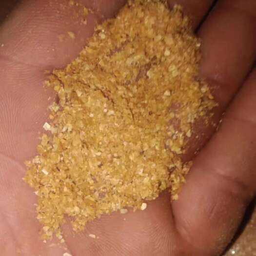 正定县喷浆玉米皮蛋白高，含糖高适用于各类养殖，饲料