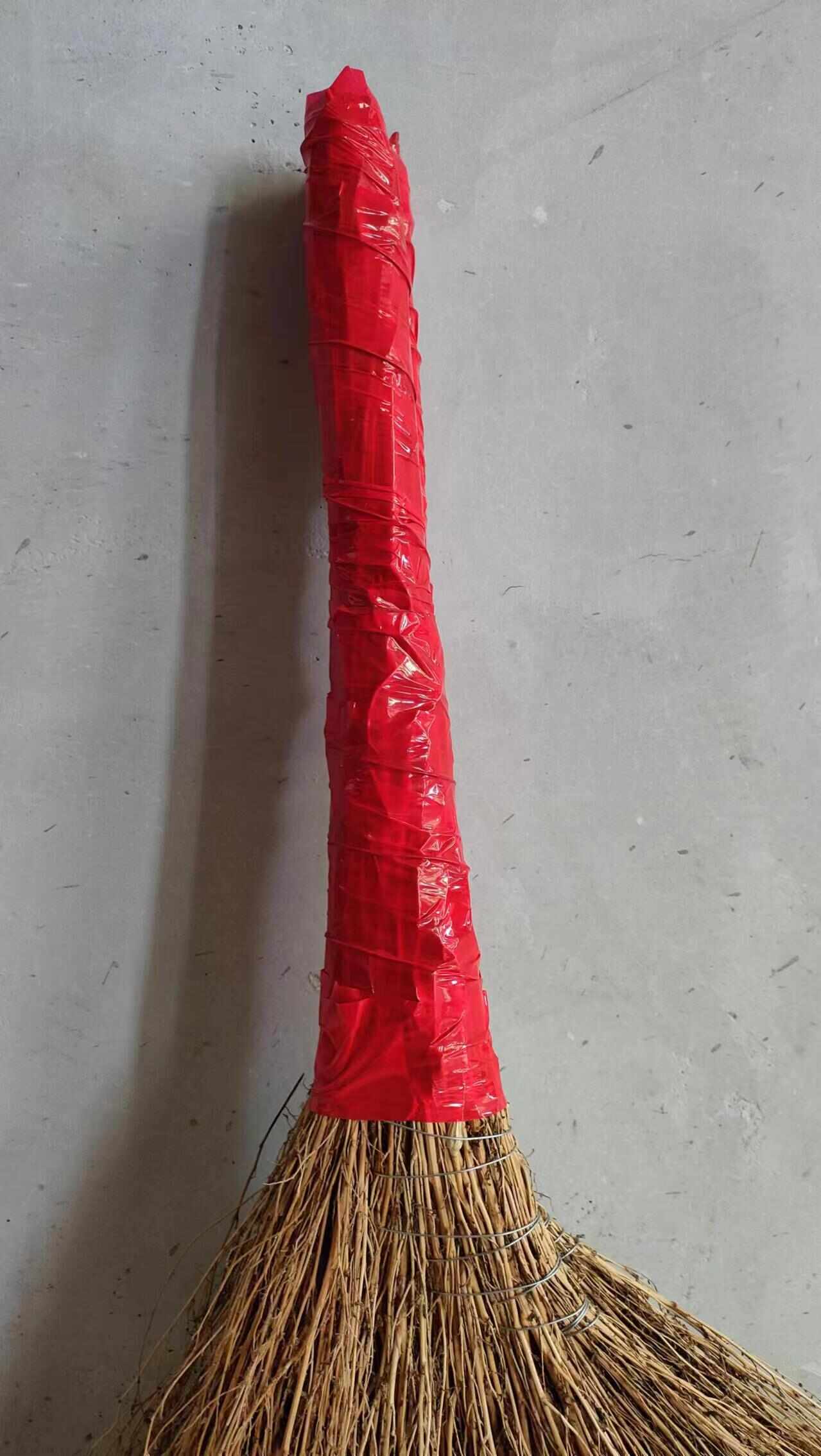 铁扫帚  地肤子  金丝草扫帚 折不断 白色草