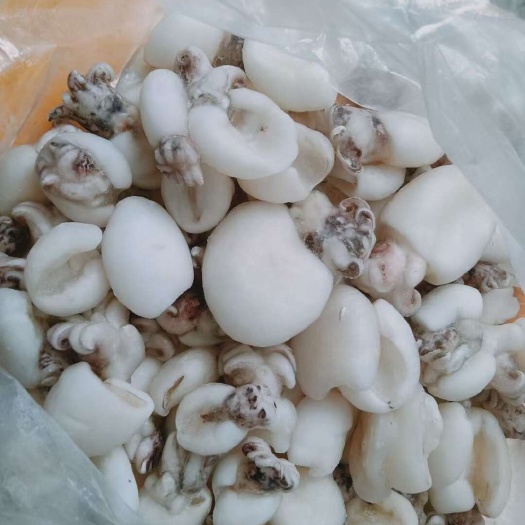 北海墨鱼仔，整体比较完整，精品货源