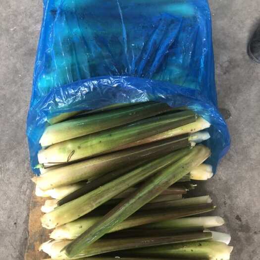 茭白