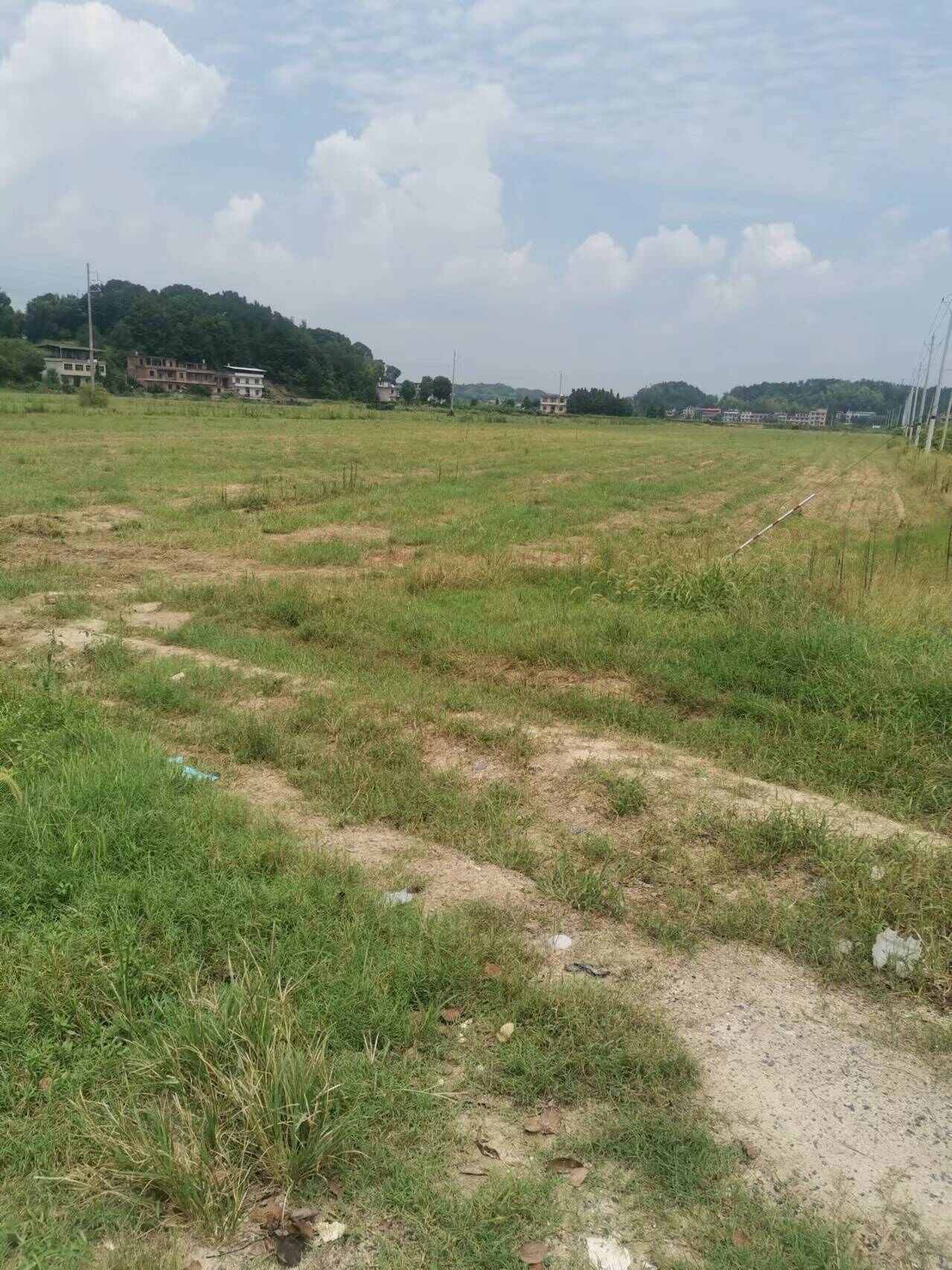 湖南衡阳地区山地 旱地 水田村集体资源出租