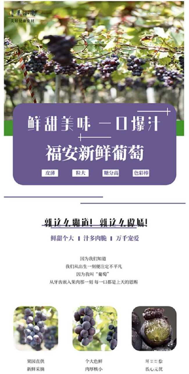 福建福安巨峰葡萄8斤礼盒装