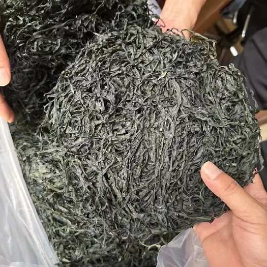 佛山海带丝 烤海带丝展会 地摊 电商海带丝圆海带丝批发 海带干