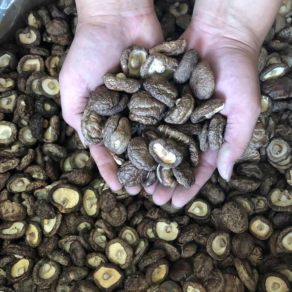 随县产地批发精选香菇干货烤菇有香味金钱菇中菇新货包邮