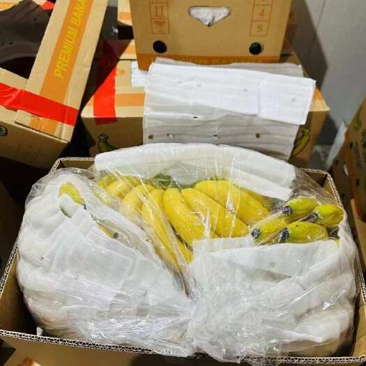 上海精品菲律宾二级蕉，规模齐全，保质保量