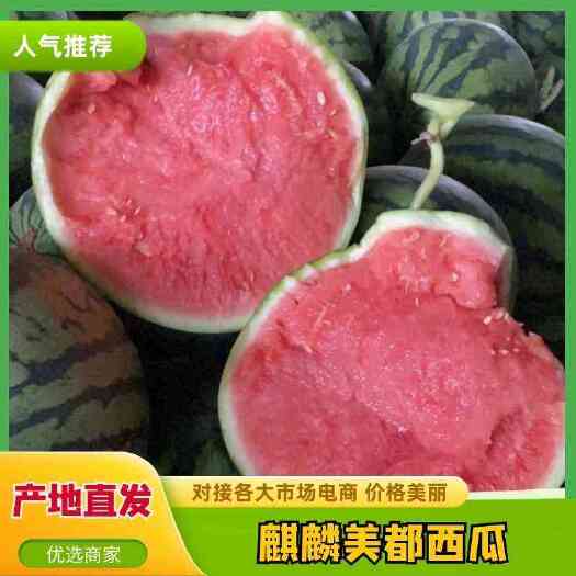 夏邑县麒麟美都西瓜 酥脆爽口 甘甜化渣 支持全国代发代办