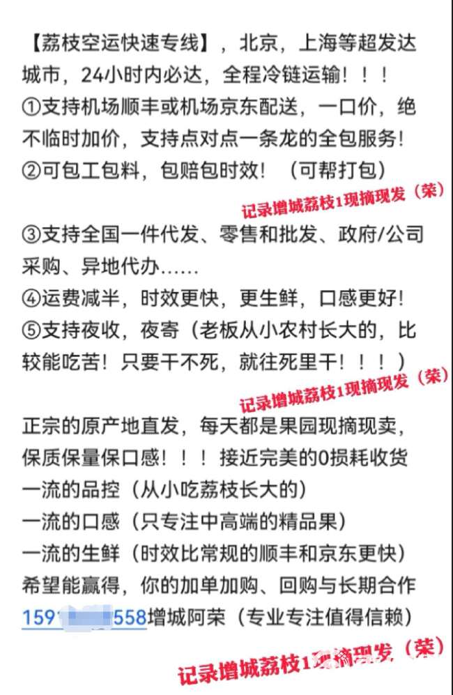 增城原产+正综仙村状元红，个头大红度高、皮色靓，冷链包邮！