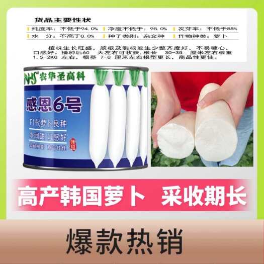 感恩6号韩国引进白萝卜种子优质高产种籽抗病耐抽苔不易糠心正品