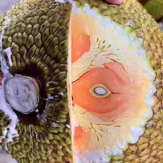 南宁印尼红菠萝蜜