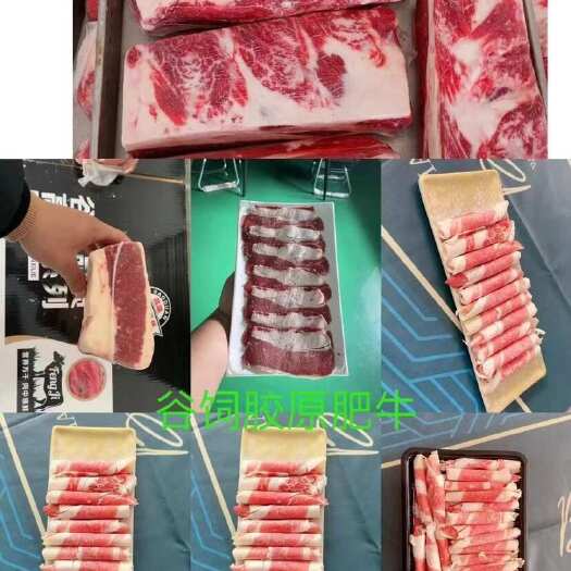 阳信县胶原肥牛 谷饲胶原肥牛 原切牛肉 谷饲前胸部位肉