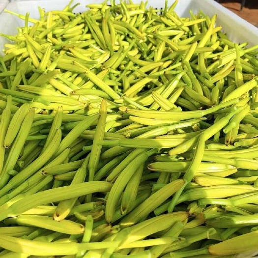 新鲜黄花菜，2024新鲜上市