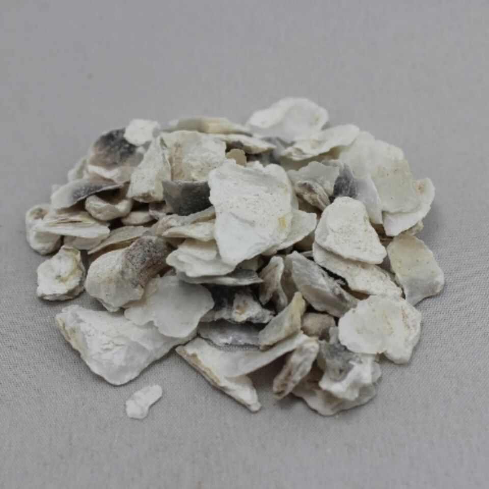 中药材 牡蛎 煅牡蛎 另有生牡蛎包邮