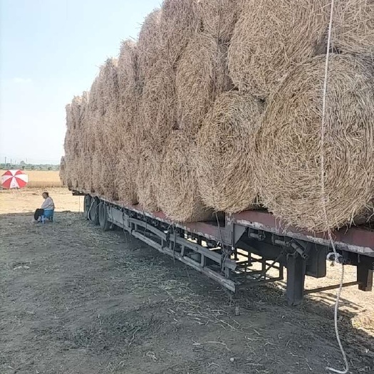 社旗县小麦秸秆 优质小麦秸秆 秸秆