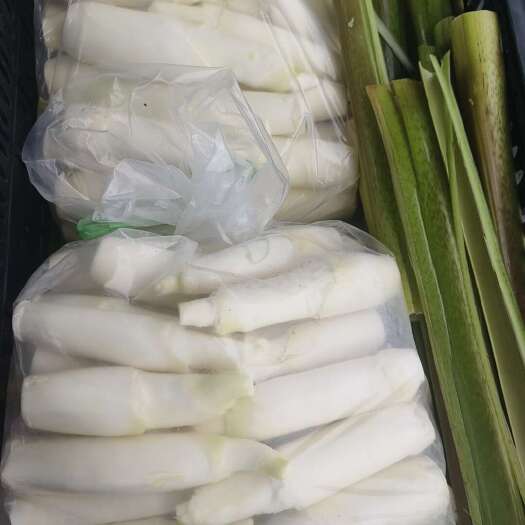 景宁县深山茭白