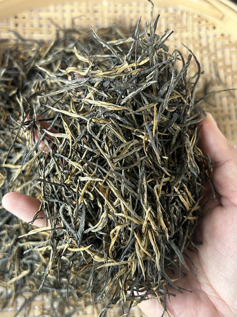 临沧县凤庆松针，自产自销