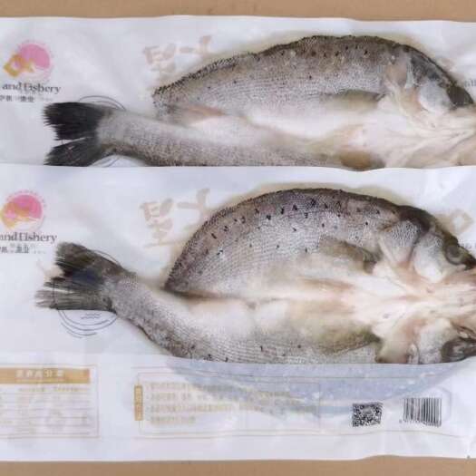 珠海开背、三去、开背反骨海鲈鱼 产地直销 多仓发货 量大价优