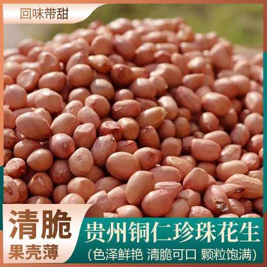 铜仁贵州铜仁珍珠花生