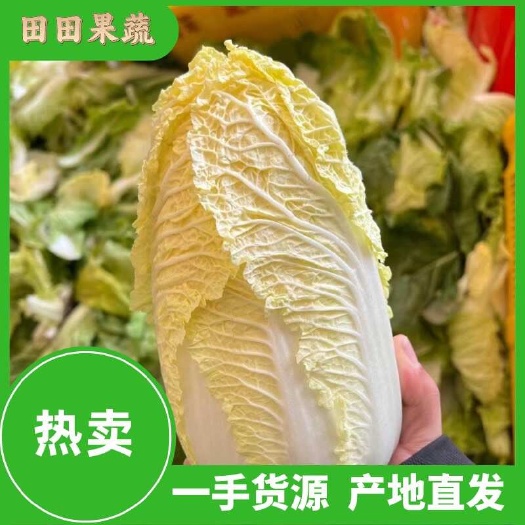 长阳县推荐湖北【黄心】娃娃菜