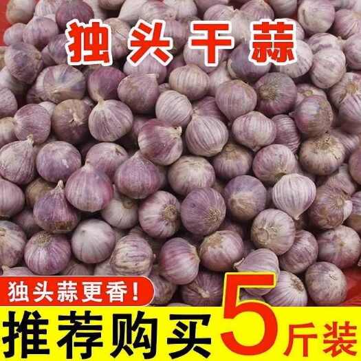 平塘县云南紫皮独蒜全品类全规格