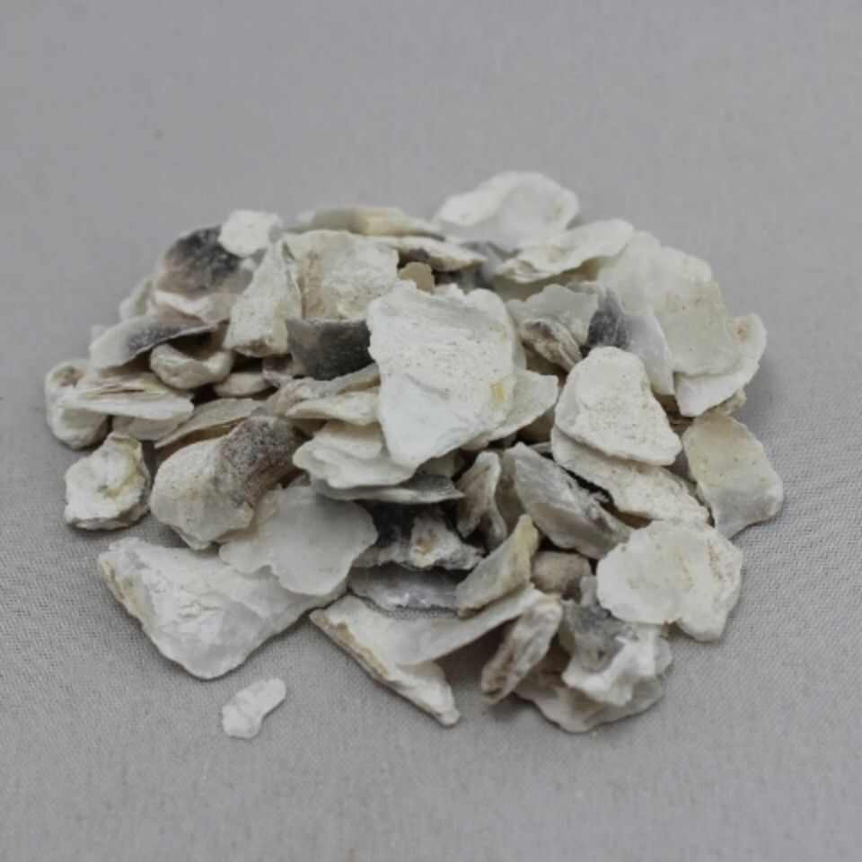 中药材 牡蛎 煅牡蛎 另有生牡蛎包邮