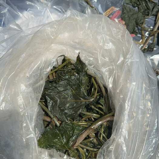 丹东盐渍大耳毛，成吨批量出售