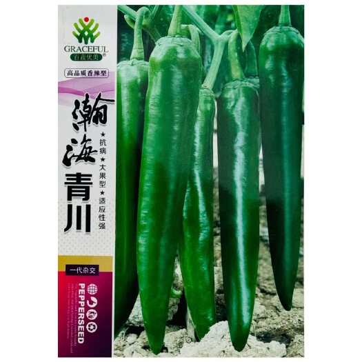 百蔬优美瀚海青川辣椒种子早熟大果青绿牛角椒种籽抗病春秋播高产