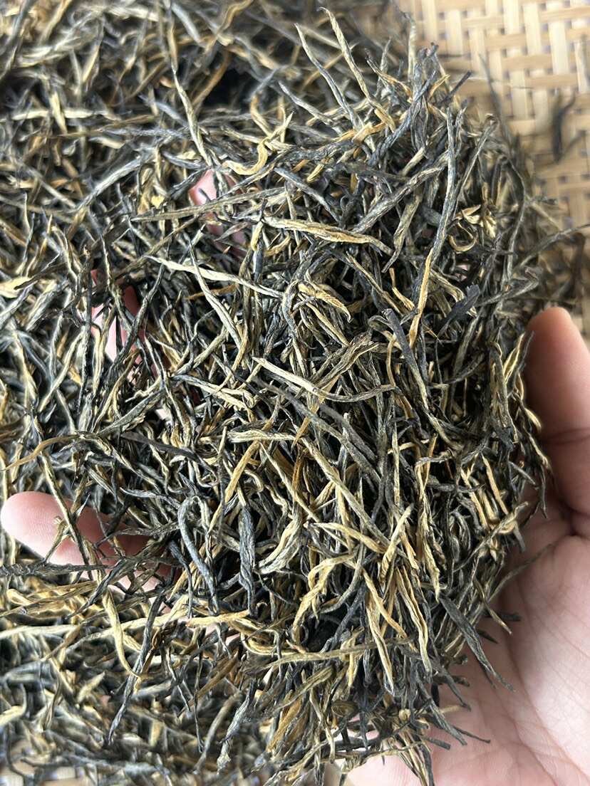临沧县凤庆松针，自产自销