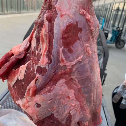 阳信县去骨牛前部位肉，国产牛前腿部位肉，大块牛肉，适合各种餐饮