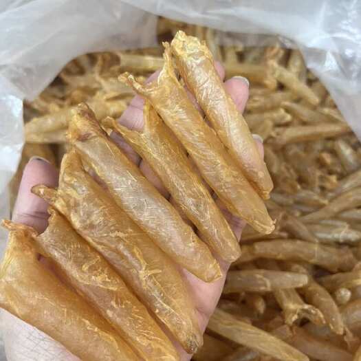 广州180头精品黄花胶。