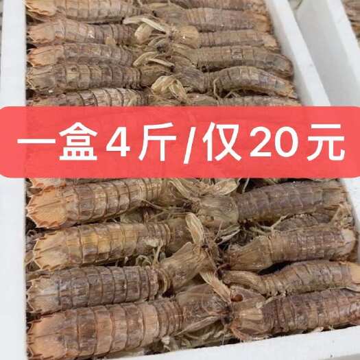 冷冻皮皮虾批发  精挑细选  产地直发 高品质 4斤装