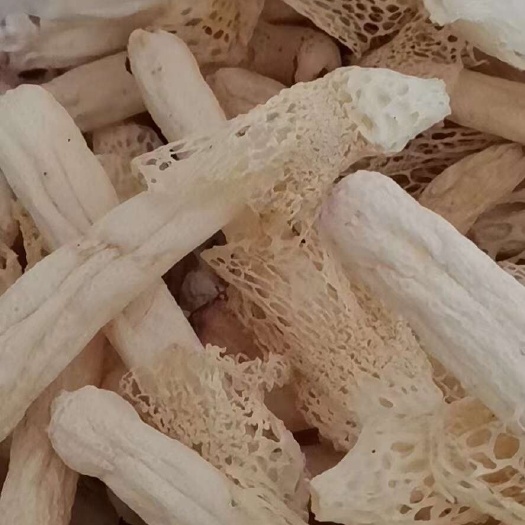 安顺干竹荪
