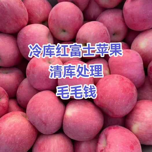 蒙阴县山东红富士苹果，果面干净，口感脆甜多汁，颜色全红