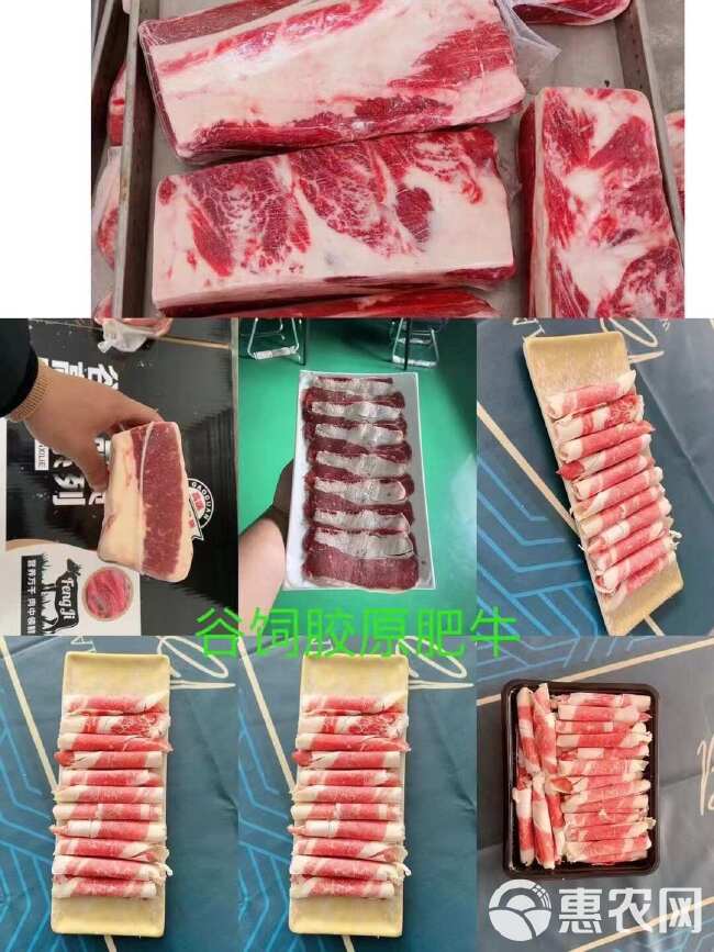 胶原肥牛 胶原胸口 谷饲胶原 烧烤烤肉佳品肥瘦相间 原切牛肉