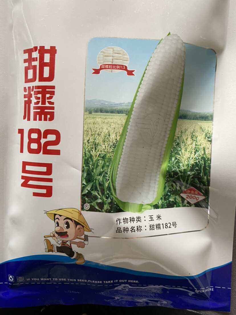 耐热大棒糯玉米种子甜加糯棒子大口感好评价好