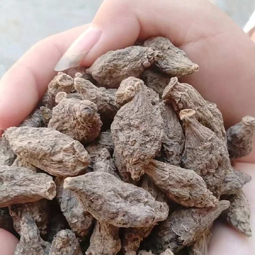 郓城县紫洋姜 胰岛果茶 红果菊芋干 胰岛果干个 山东基地自产自销