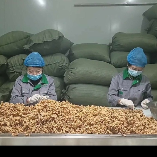 长春皱木耳