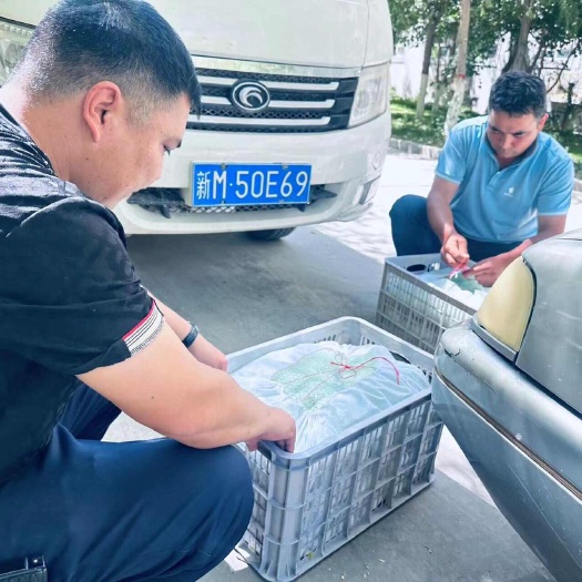 库尔勒市库尔勒香梨