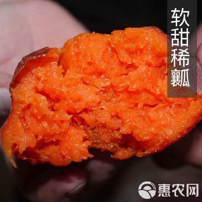 软糯香甜超甜山东烟薯25