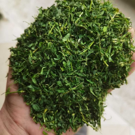 阳山县相思茶