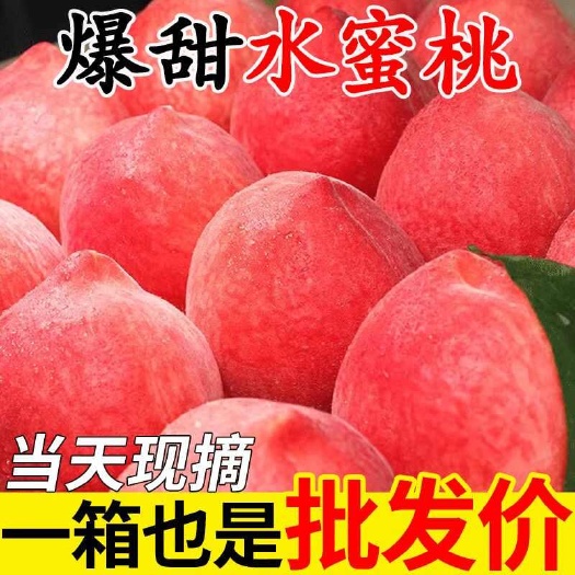 【现摘】甜水蜜桃新鲜当季水果桃子时令大果一整箱批发毛桃