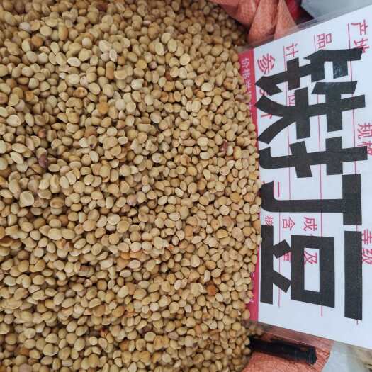 玉林【铁打豆】广西中药材华佗豆金丝指葫芦拐子豆小偷豆跌打豆贼老豆