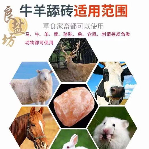 天津巴基斯坦大盐块