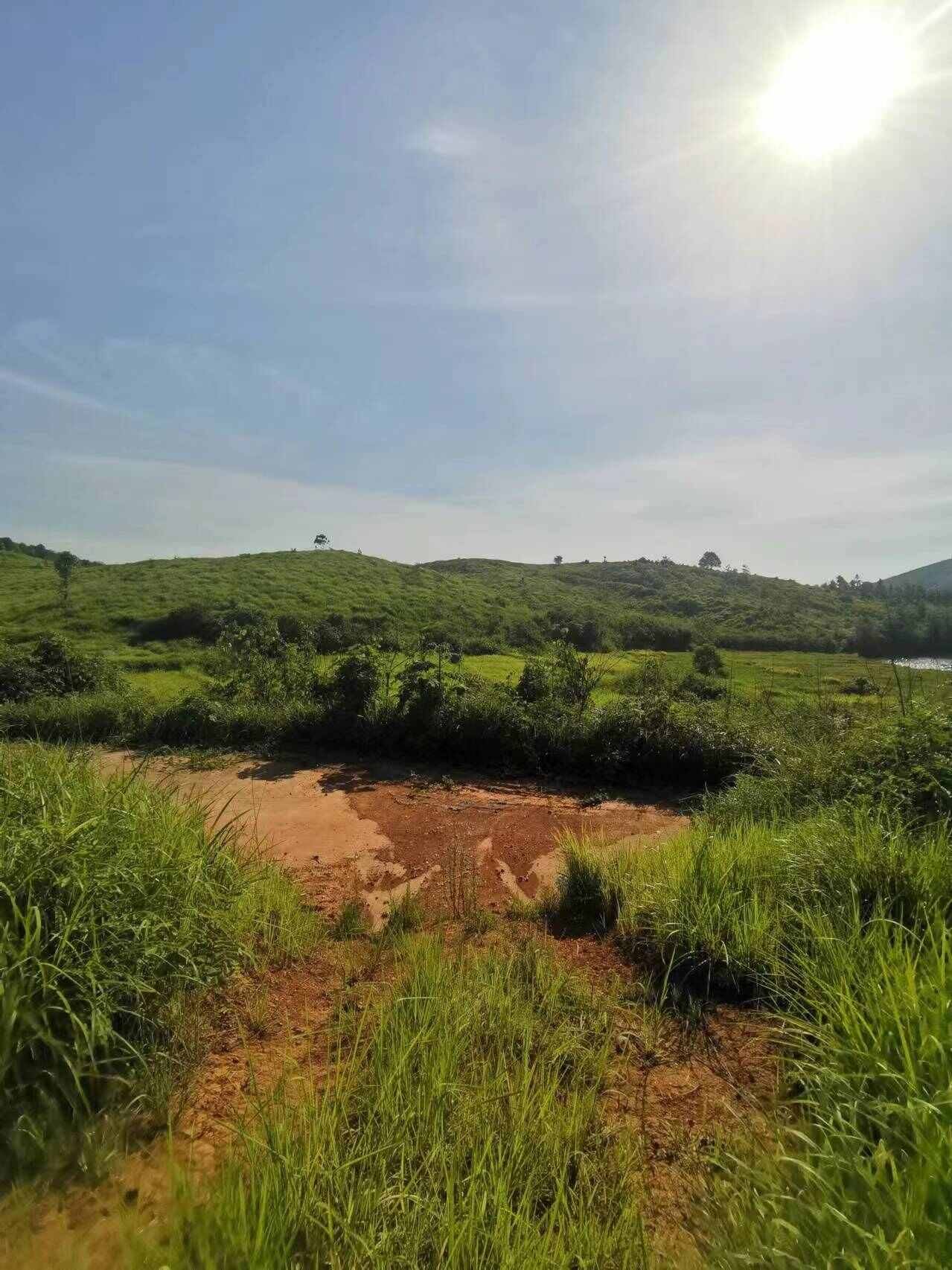 湖南衡阳地区山地 旱地 水田村集体资源出租